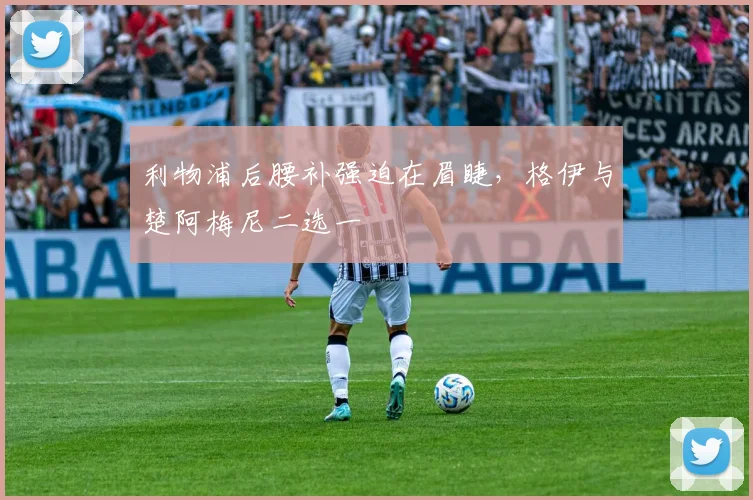 利物浦后腰补强迫在眉睫，格伊与楚阿梅尼二选一